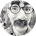 13.Jpeg